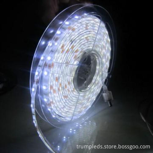 5M DC12V Cold White smd 3528 strip led light